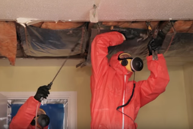 Asbestos Ceiling Insulation Survey