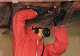 Asbestos Surveys