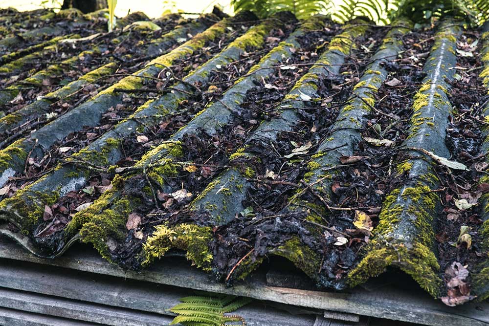 Old Moss Covered Asbestos