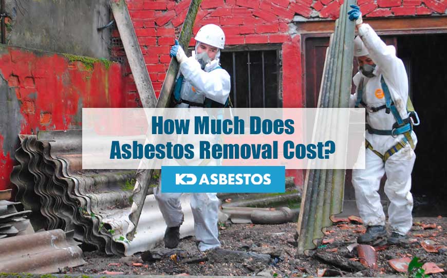 Asbestos removal