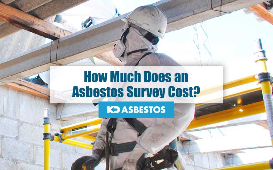 Cost of Asbestos Survey