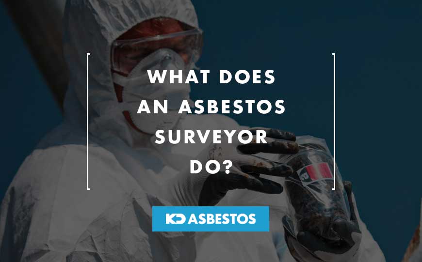 Asbestos Surveyor