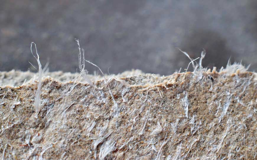 Magnified Asbestos Fibres