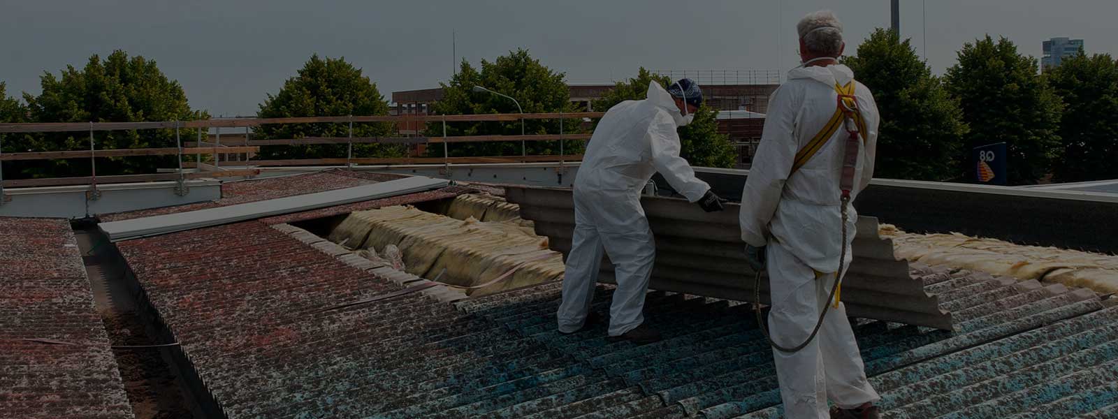 Asbestos Removal Westminster