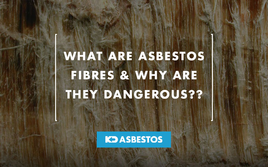 Asbestos Fibres