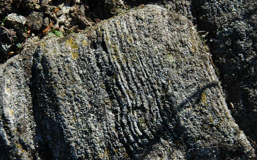 chrysotile asbestos