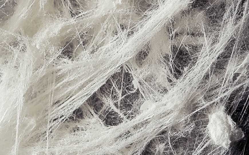 why should asbestos be removed