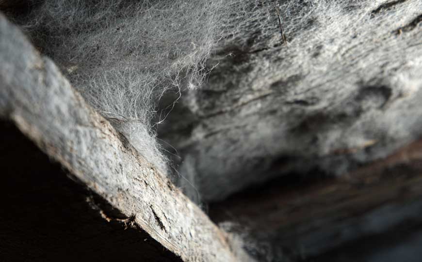 most dangerous asbestos products
