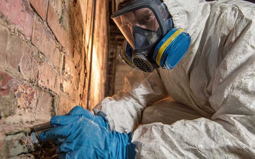 asbestos testing kits or professional